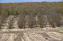 VBS_7694 - Andare lontano, oltre i campi da arare... e ancora più in là